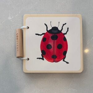 Lovevery Wooden Ladybug Learning Toy